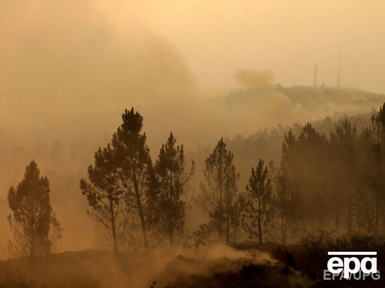 Самые серьезные пожары бушевали в период с 16-го по 24 июня