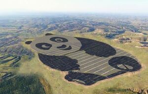 Строительство солнечной электростанции заняло меньше года