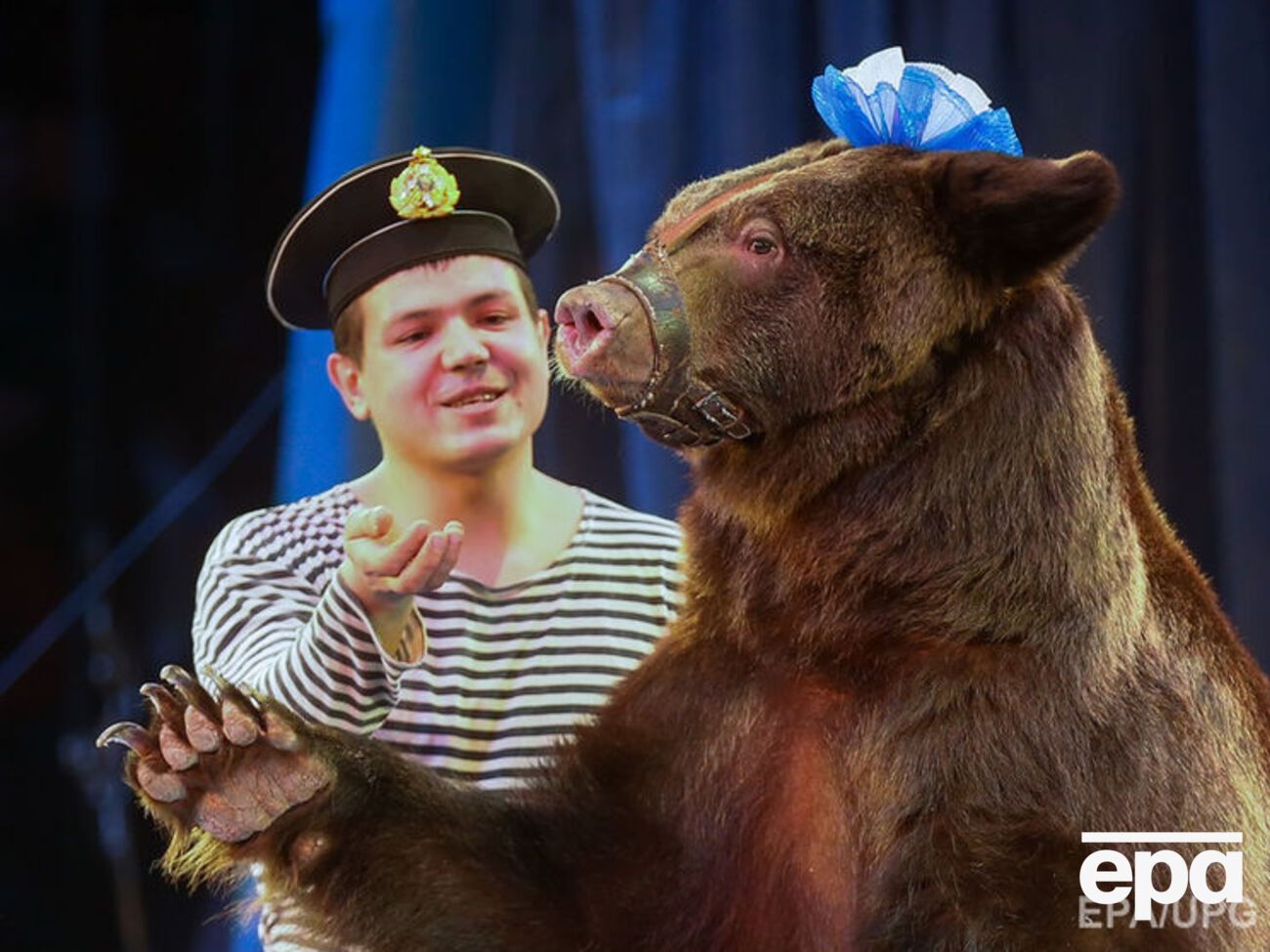 Власти Мукачево запретили цирки с животными