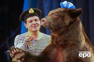 Власти Мукачево запретили цирки с животными