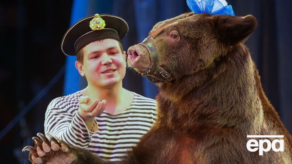 Власти Мукачево запретили цирки с животными