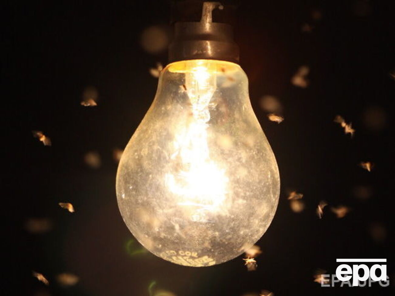 Низка населених пунктів у Луганській області залишилася без електрики