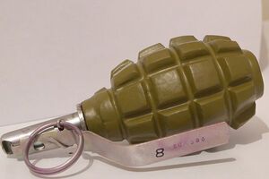 У двір жінки кинули гранату Ф-1