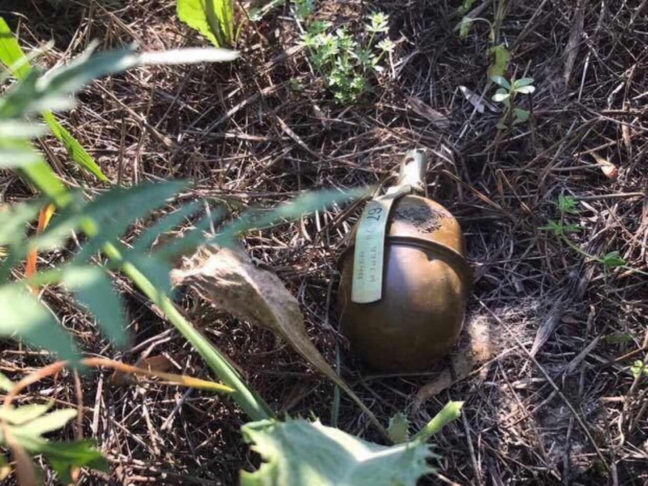 Молодики кинули в авто поліції гранату