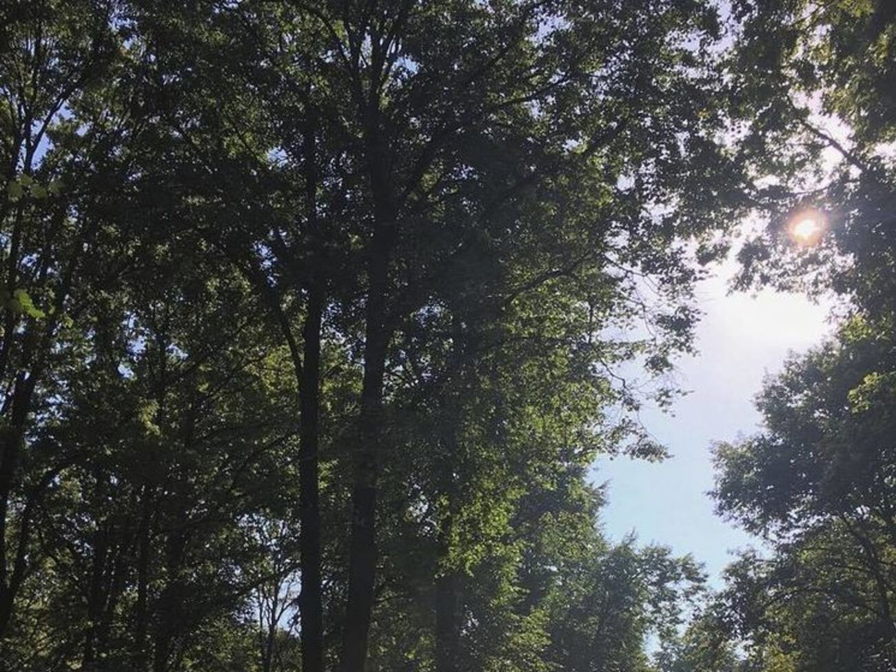 Рівень забруднення повітря утримається до кінця тижня