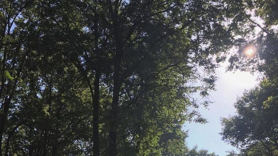 Уровень загрязнения воздуха продержится до конца недели