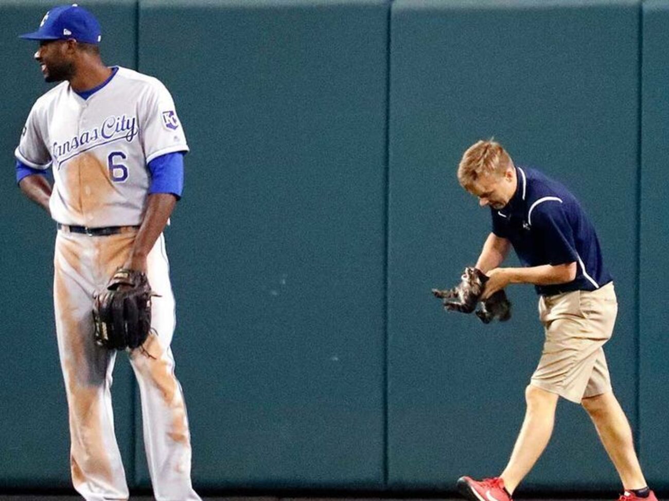 Лукасу Хэкманну досталось от котенка