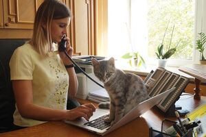 В Днепропетровской ОГА завели кота