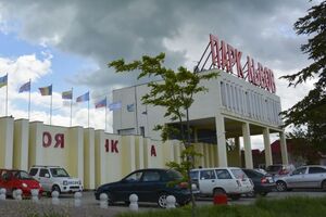 10 серпня в парке родились четыре льва