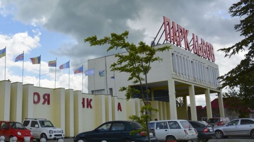 10 серпня в парку народилося четверо левенят