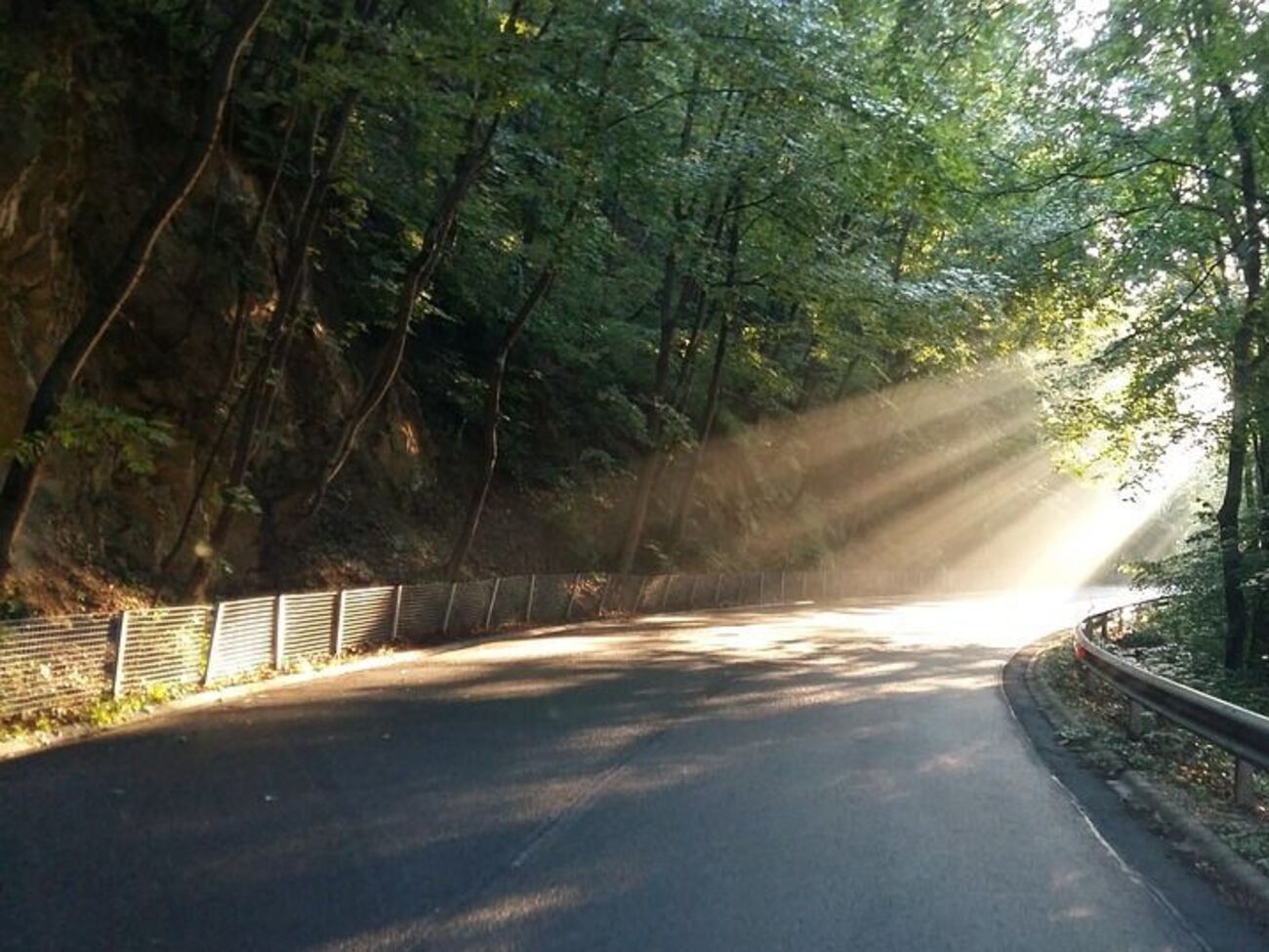 Автобус следовал из Варшавы в Жешув