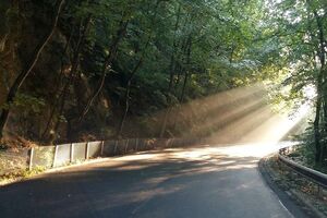 Автобус следовал из Варшавы в Жешув
