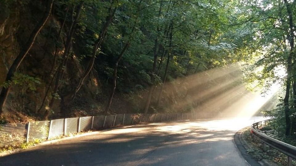 Автобус прямував із Варшави до Жешува