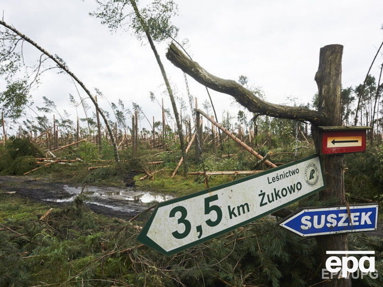 Во время непогоды погибли пять человек