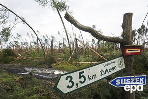 Во время непогоды погибли пять человек