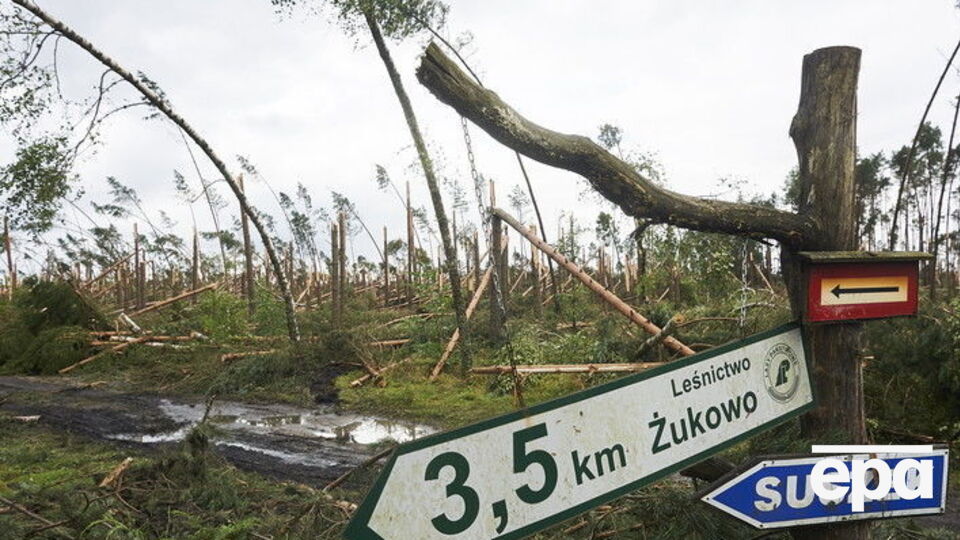 Во время непогоды погибли пять человек