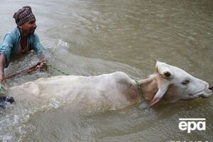 Больше всего пострадала южная часть страны