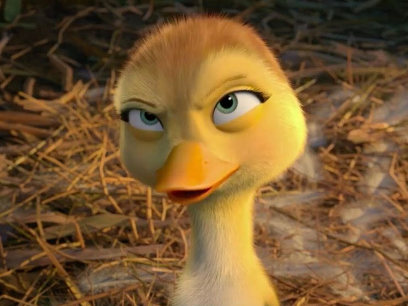 Герой мультфільму допоможе каченятам знайти їхніх батьків