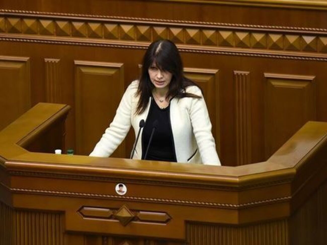 Ирина Фриз:&nbsp;Надеюсь, что мы услышим объяснение Тимошенко, чтобы отбросить подозрения в оказании помощи иностранному государству