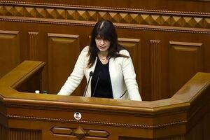 Ирина Фриз: Надеюсь, что мы услышим объяснение Тимошенко, чтобы отбросить подозрения в оказании помощи иностранному государству