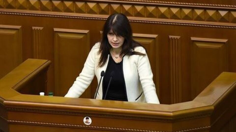 Ірина Фріз: Сподіваюся, що ми почуємо пояснення Тимошенко, щоб відкинути підозри у наданні допомоги іноземній державі