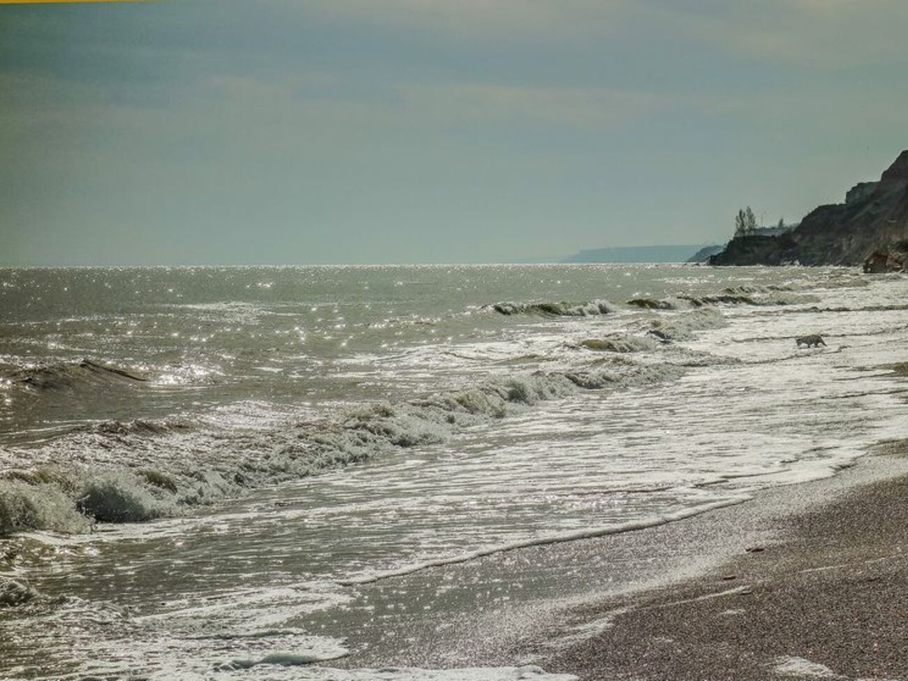 Одесситов просят временно не купаться в море