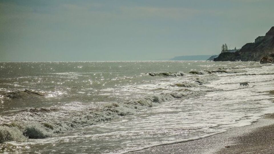 Одесситов просят временно не купаться в море