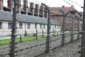 Засуджений перебуває під вартою і чекає рішення щодо апеляції