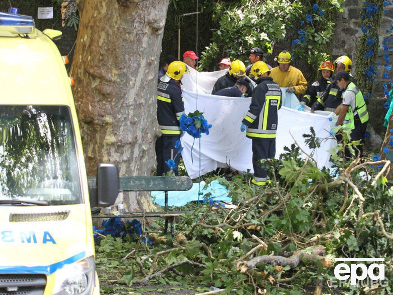 У Португалії дерево вбило 12 паломників