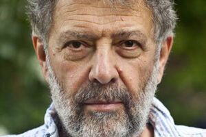 Гольдфарб: Ничего хорошего в этом нет