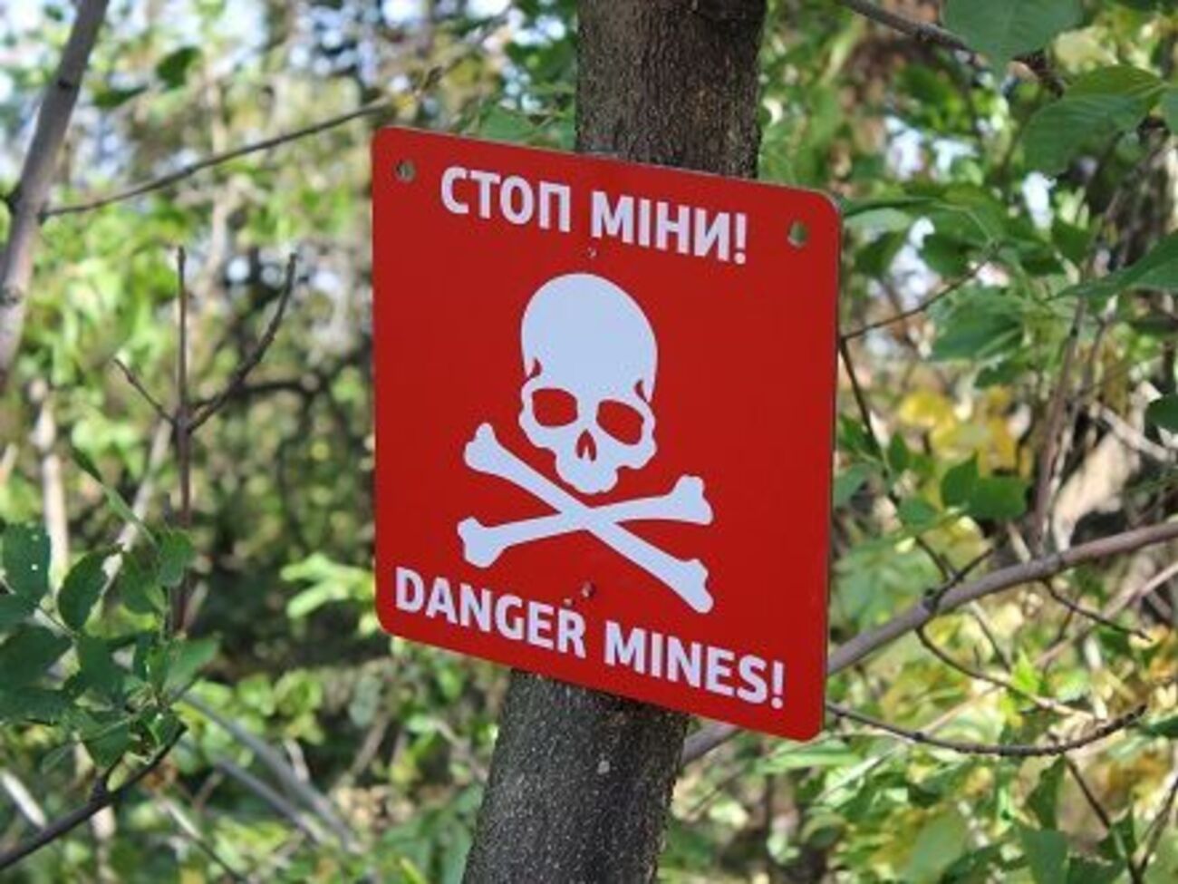 ОБСЄ:&nbsp;Із розмінуванням не можна зволікати!