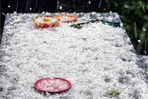 Во Львове вчера выпал крупный град