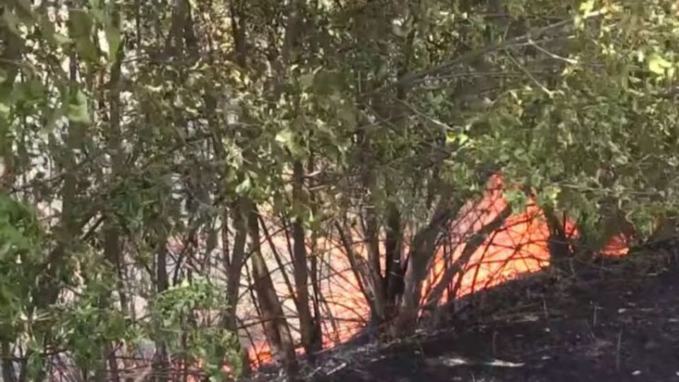 Поблизу Новолуганського й у самому населеному пункті виникли пожежі