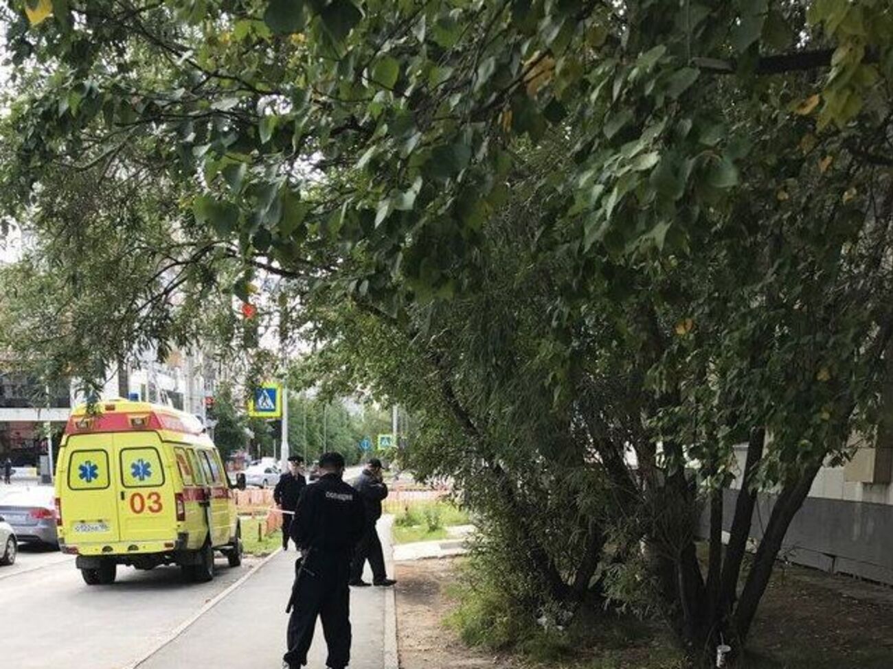 Нападником виявився місцевий житель