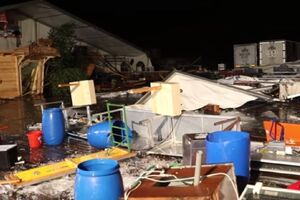 У момент трагедії в наметі перебувало 650 осіб