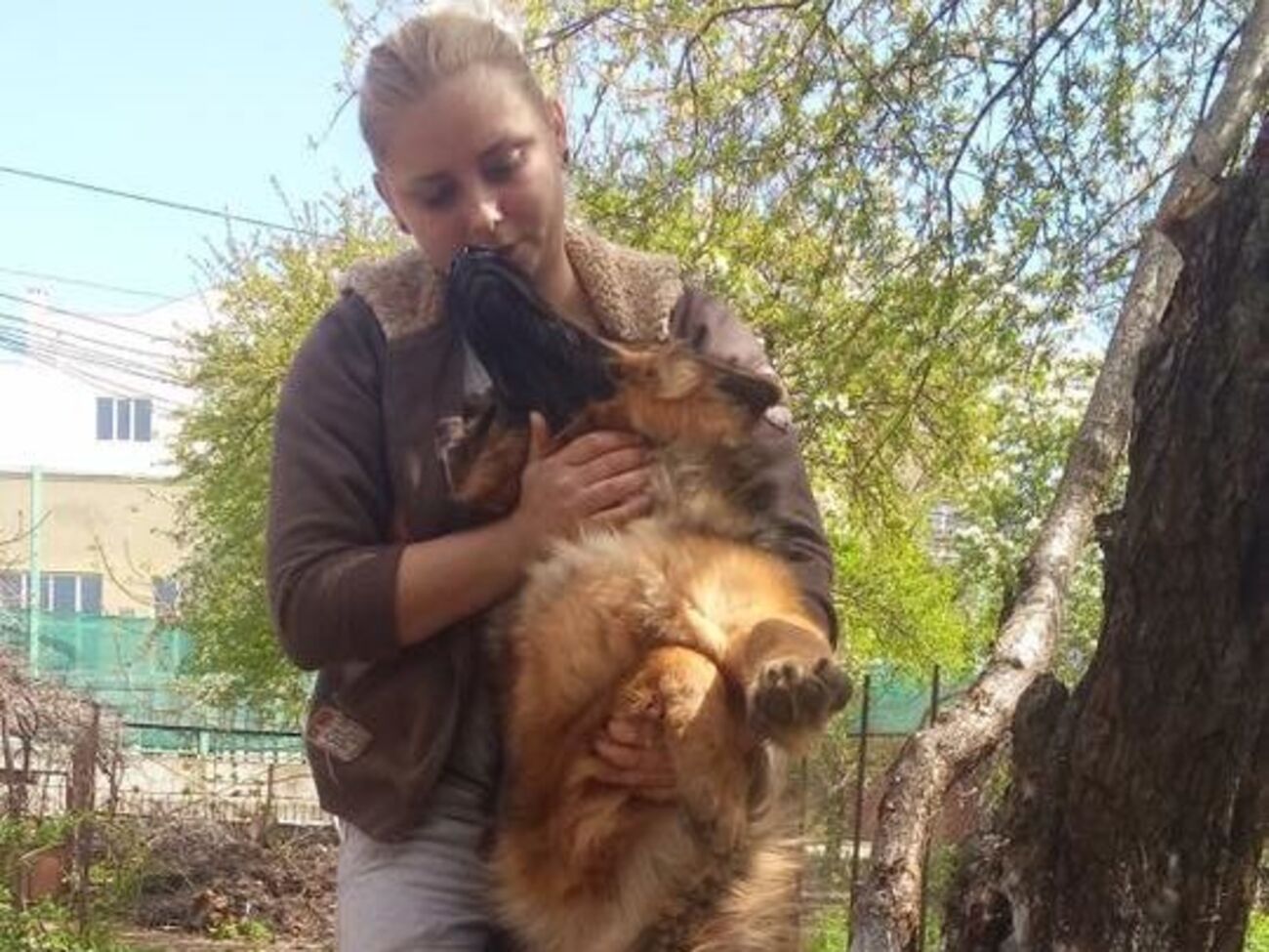 Владелицу собаки подозревают в жестоком обращении с животным