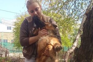 Владелицу собаки подозревают в жестоком обращении с животным