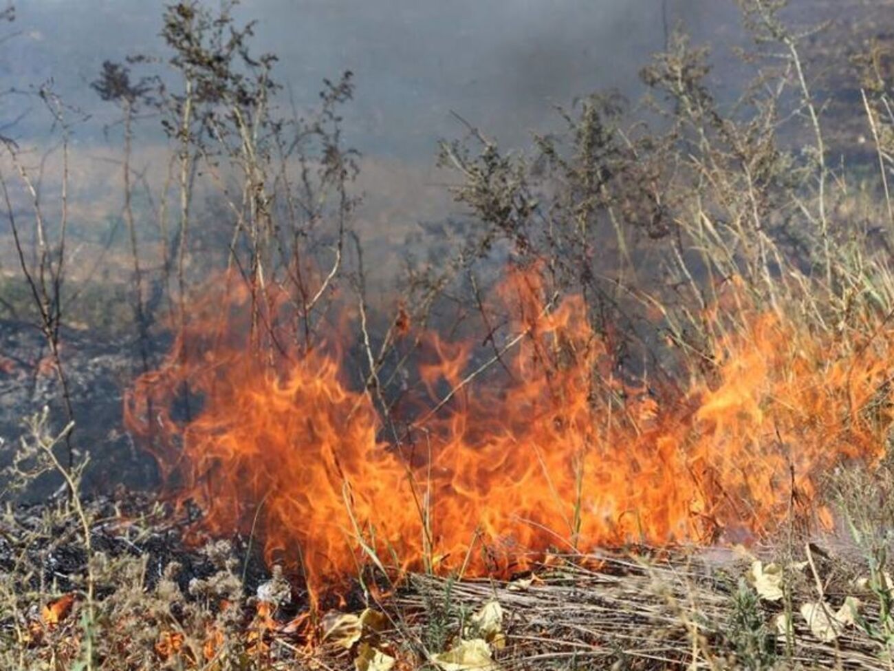Неприятель умышленно поджигает сухую траву в "серой зоне", утверждают украинские военные