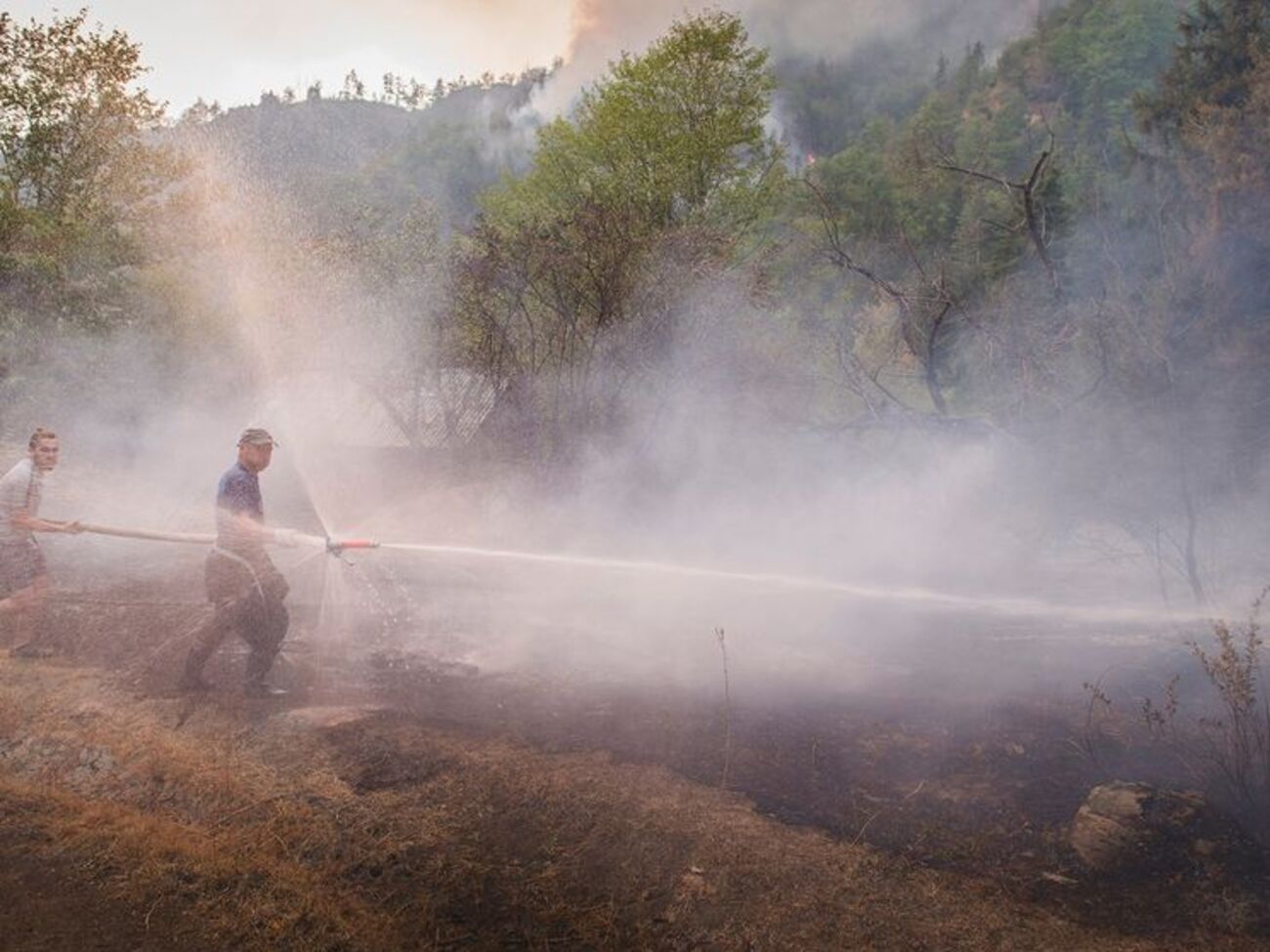Пожежники борються з вогнем у районі курорту Боржомі