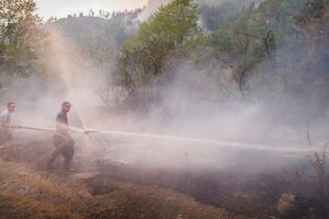 Пожежники борються з вогнем у районі курорту Боржомі
