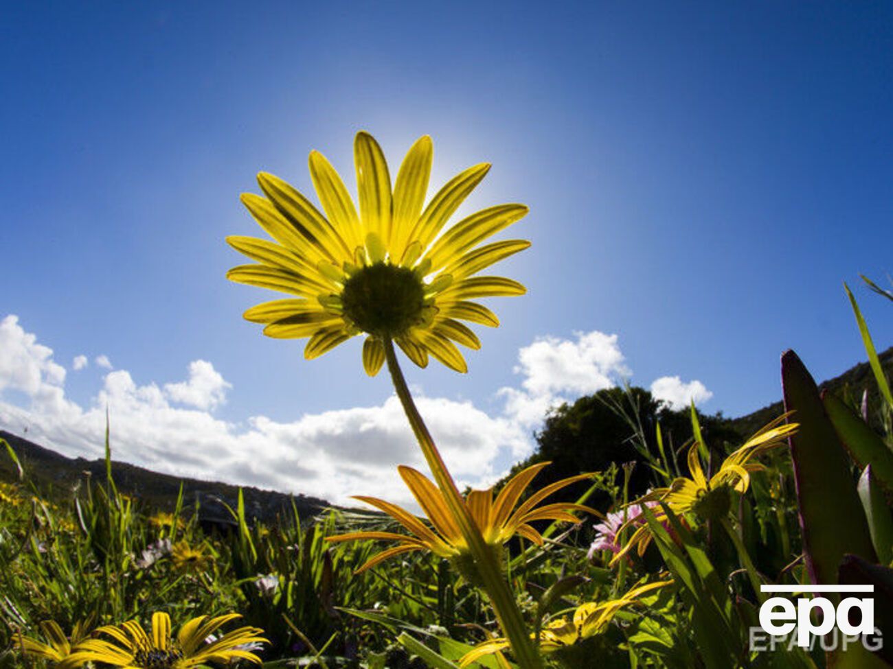 В Украину вернется теплая погода