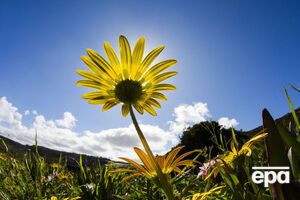 В Украину вернется теплая погода