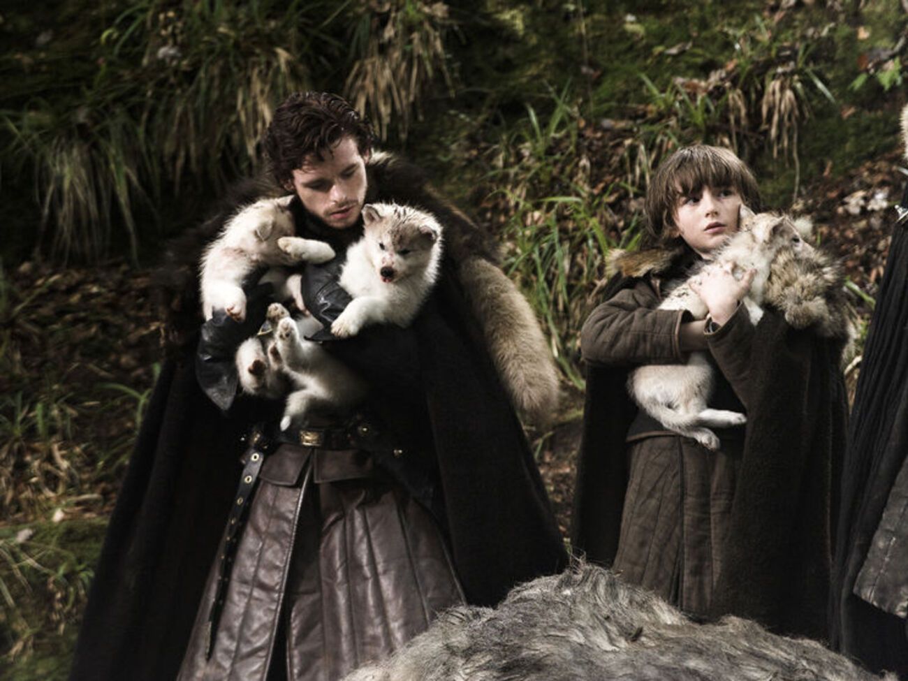 Хаски в сериале исполняют роль лютоволков