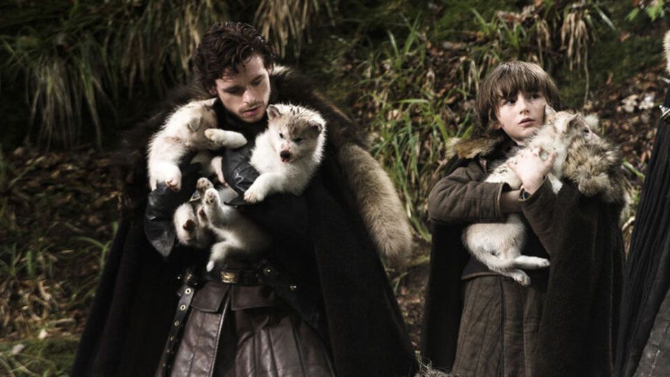 Хаскі в серіалі виконують роль лютововків