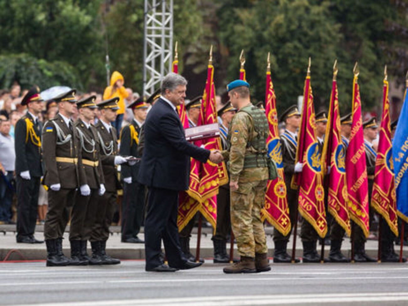 Чибінєєва було нагороджено Зіркою Героя України 24 серпня 2016 року