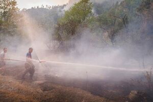 Пожар в Боржомском ущелье начался днем 20 августа