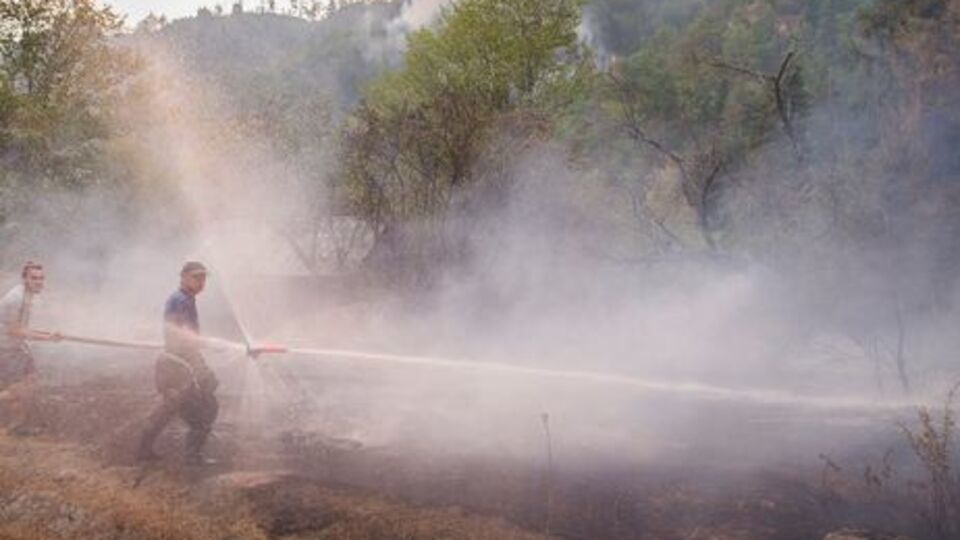 Пожежа в Боржомській ущелині почалася вдень 20 серпня
