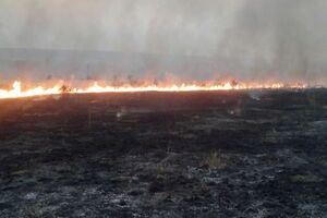 Марчук: Підпалити за такої погоди можна півгоризонту