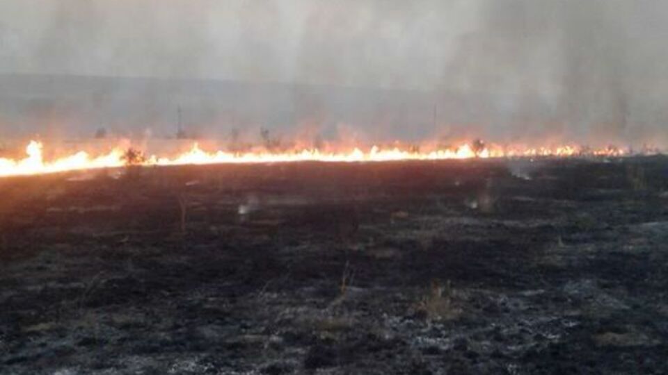 Марчук: Підпалити за такої погоди можна півгоризонту