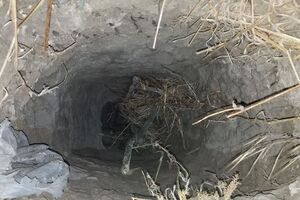 Тоннель прорыли с территории Мексики